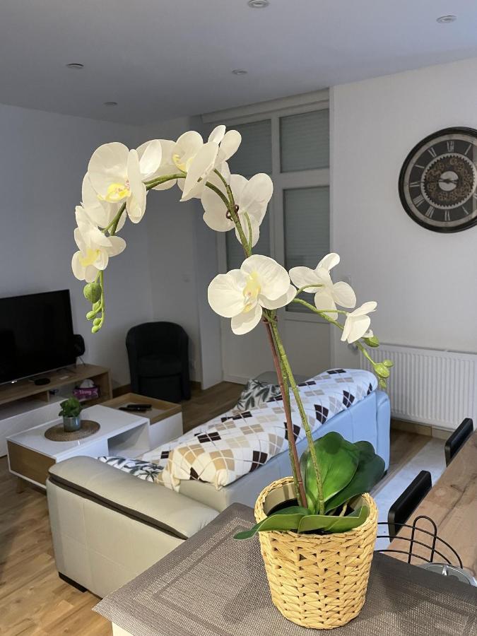 Apartamento Au Jardin De La Basilique Boulogne-sur-Mer Exterior foto