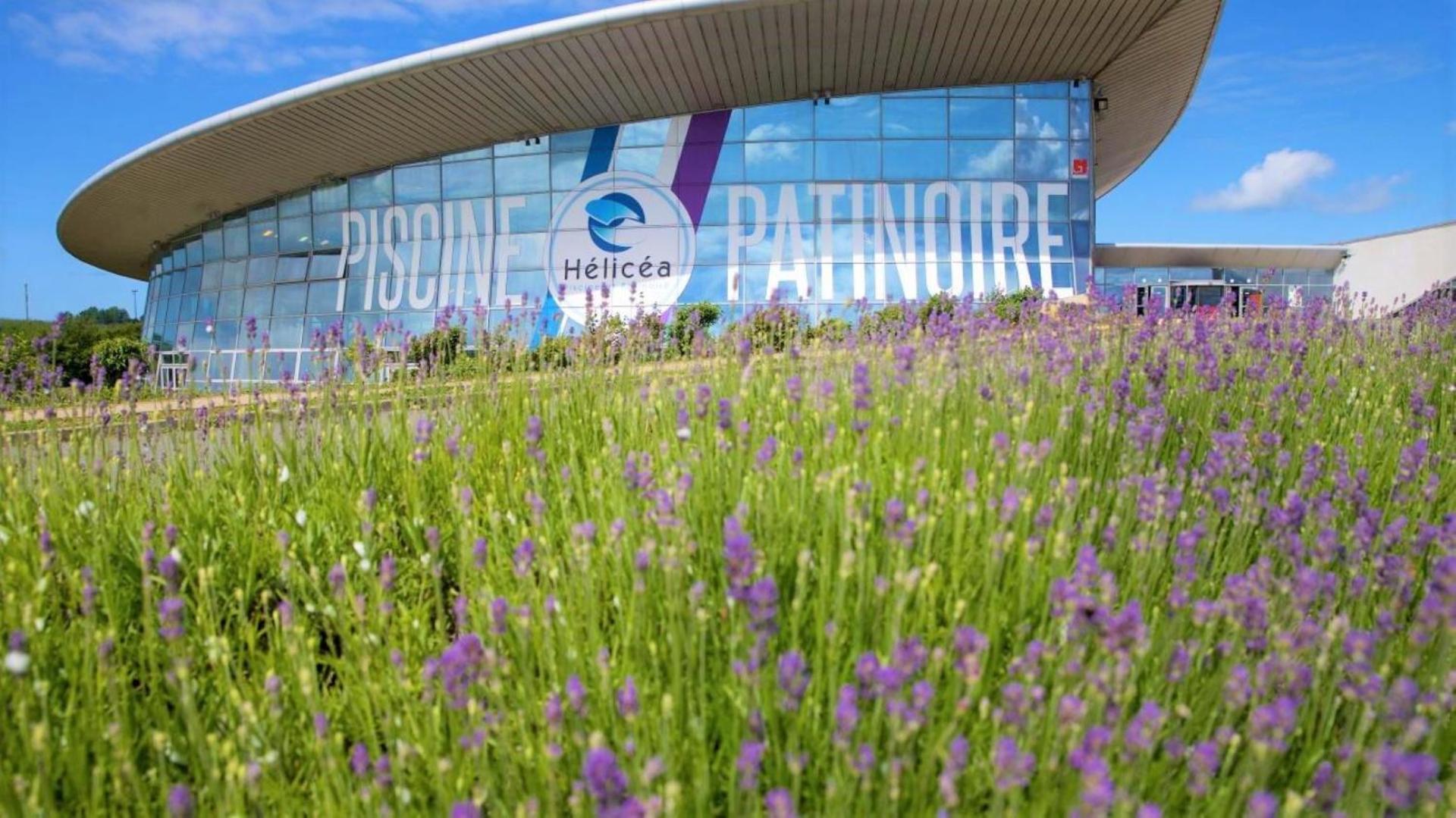 Apartamento Au Jardin De La Basilique Boulogne-sur-Mer Exterior foto